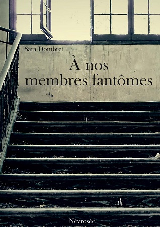 Illustration pour un livre publié : À nos membres fantômes