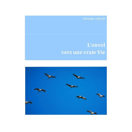 Illustration pour un livre publié : L'envol vers une vraie Vie