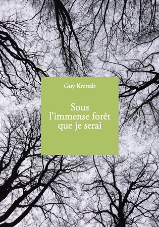 Illustration pour un livre publié : Sous l'immense forêt que je serai