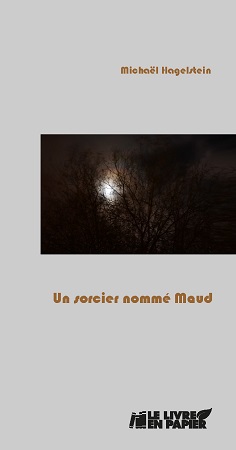 Illustration pour un livre publié : Un sorcier nommé Maud