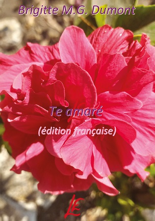 Illustration pour un livre publié : Te amaré (édition française)