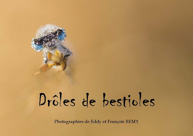 Drôles de bestioles