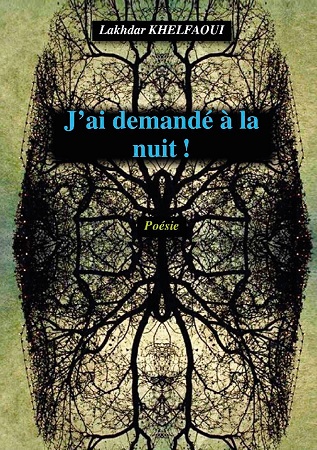 Illustration pour un livre publié : J'ai demandé à la nuit !