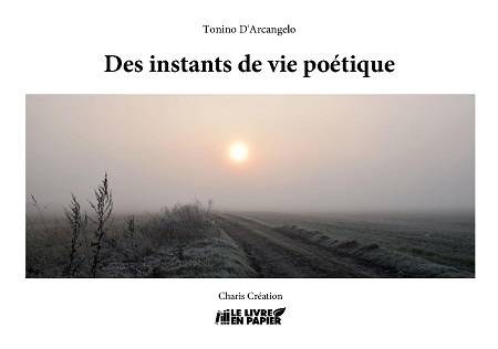 Illustration pour un livre publié : Des instants de vie poétique
