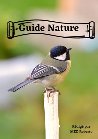 Illustration pour un livre publié : Guide nature
