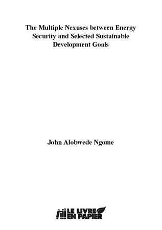 Illustration pour un livre publié : The Multiple Nexuses between Energy Security and Selected Sustainable Development Goals