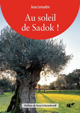 Illustration pour un livre publié : Au Soleil de Sadok
