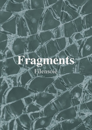 Illustration pour un livre publié : Fragments