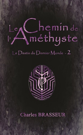 Illustration pour un livre publié : Le Chemin de l'Améthyste - Le Destin du Dernier Monde 2