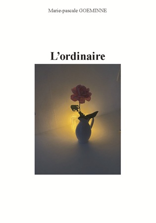 Illustration pour un livre publié : L'ordinaire