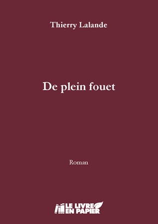 Illustration pour un livre publié : De plein fouet
