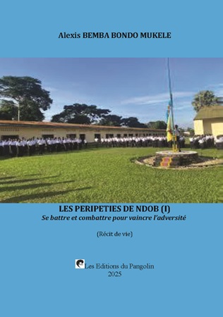 Illustration pour un livre publié : Les Péripéties de NDOB (I)