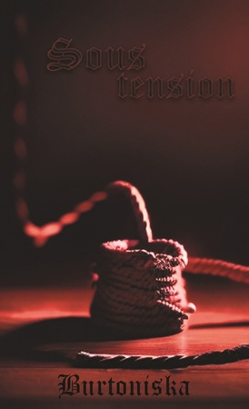 Illustration pour un livre publié : Sous tension