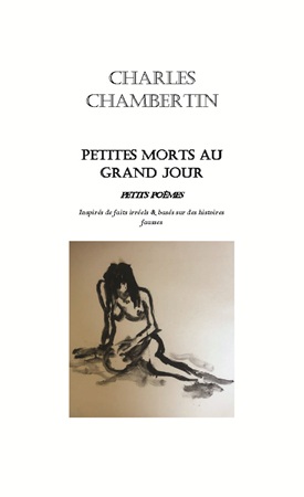 Illustration pour un livre publié : Petites morts au grand jour