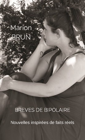 Illustration pour un livre publié : Brèves de bipolaire