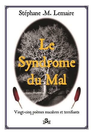 Illustration pour un livre publié : Le Syndrome du Mal