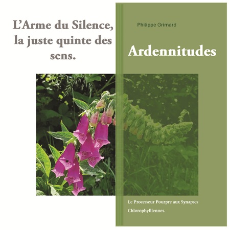 Illustration pour un livre publié : L'Arme du Silence, la juste quinte des sens. Ardennitudes