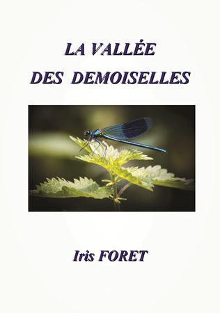 Illustration pour un livre publié : La vallée des demoiselles