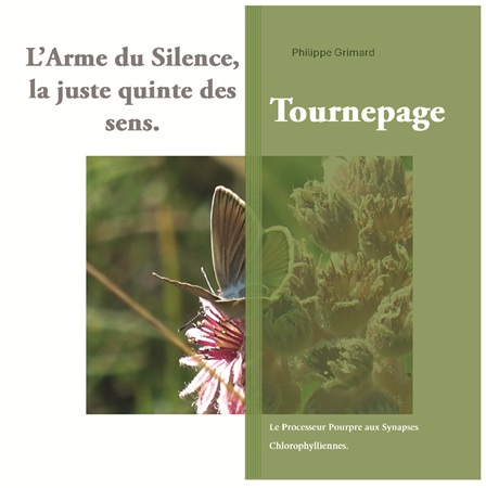 Illustration pour un livre publié : L'Arme du Silence, la juste quinte des sens. Tournepage