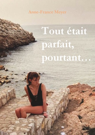 Illustration pour un livre publié : Tout était parfait, pourtant...