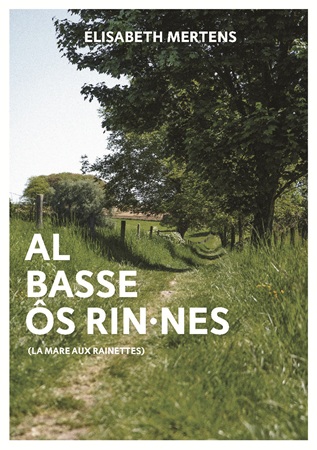 Illustration pour un livre publié : Al Basse ôs Rin·nes