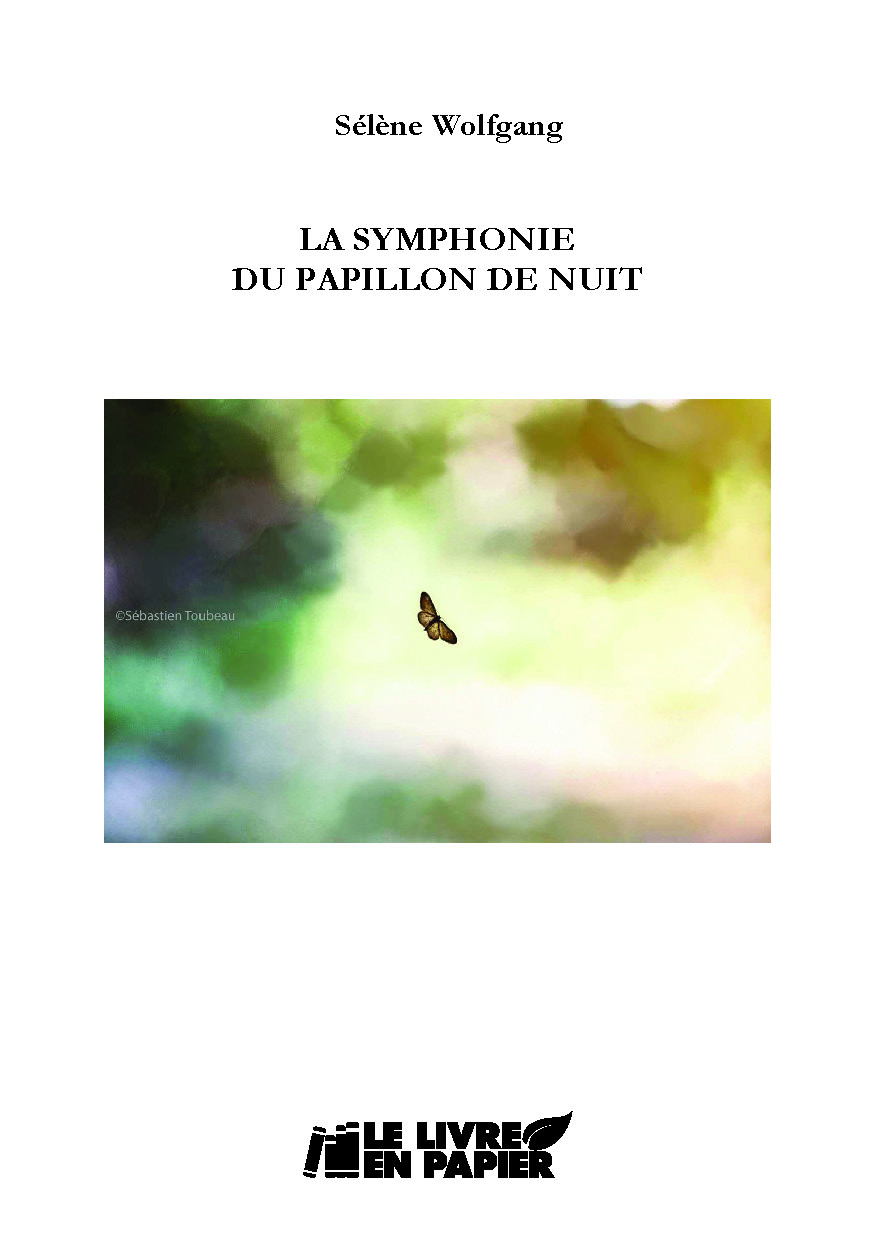 Illustration pour un livre publié : La symphonie du papillon de nuit
