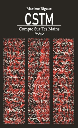 Illustration pour un livre publié : CSTM Compte Sur Tes Mains