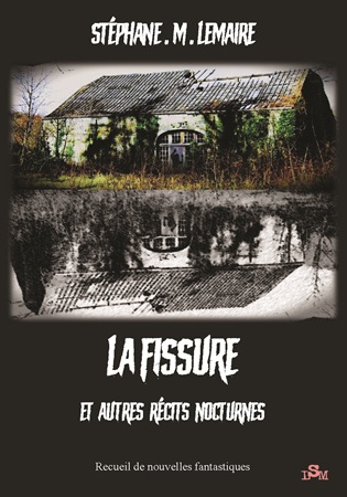 Illustration pour un livre publié : La Fissure