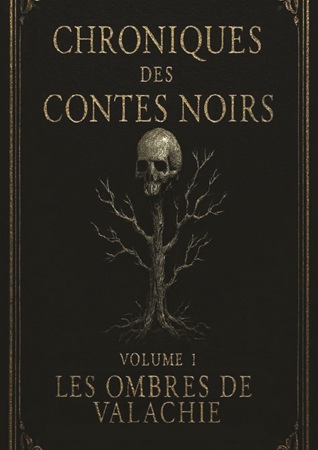 Illustration pour un livre publié : Chroniques des Contes noirs vol 1 : Les Ombres de Valachie