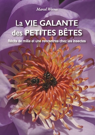 Illustration pour un livre publié : La vie galante des petites bêtes