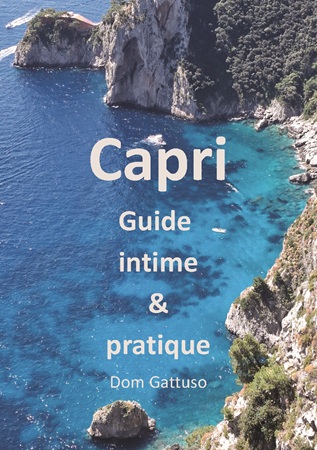 Illustration pour un livre publié : Capri Guide intime & pratique