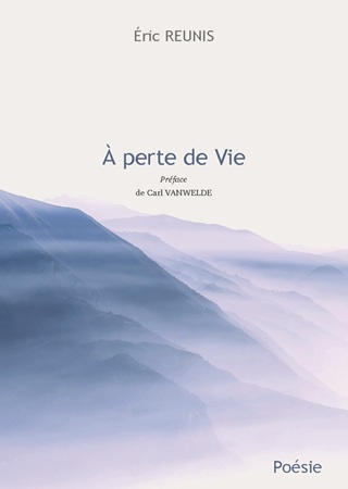Illustration pour un livre publié : À perte de Vie