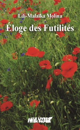 Illustration pour un livre publié : Éloge des Futilités