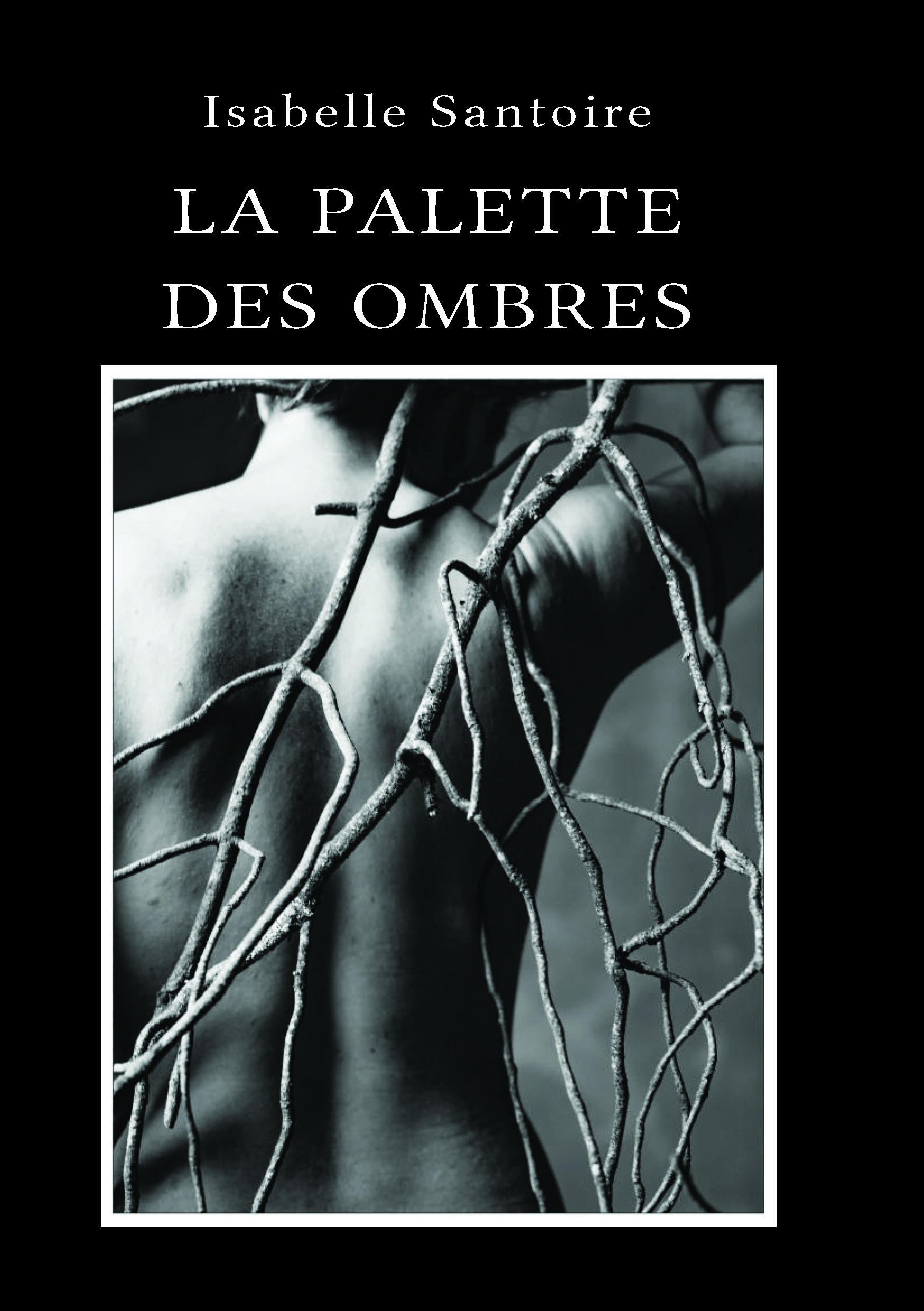 Illustration pour un livre publié : La palette des ombres