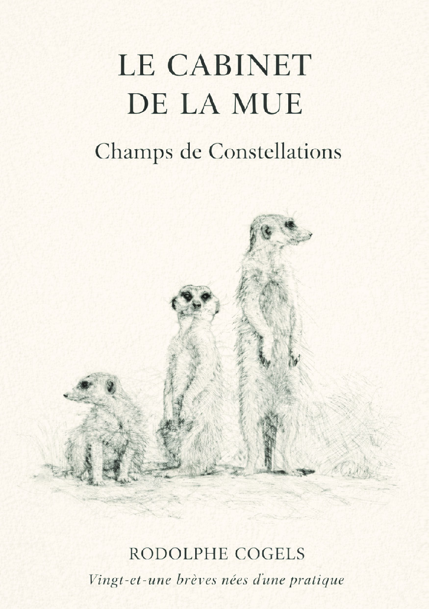 Illustration pour un livre publié : Le Cabinet de la Mue