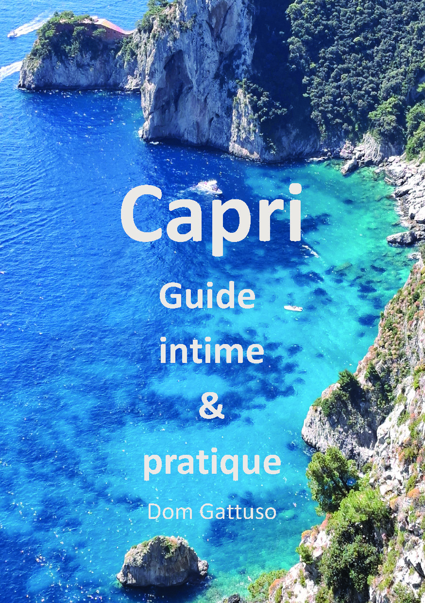 Illustration pour un livre publié : Capri Guide intime & pratique