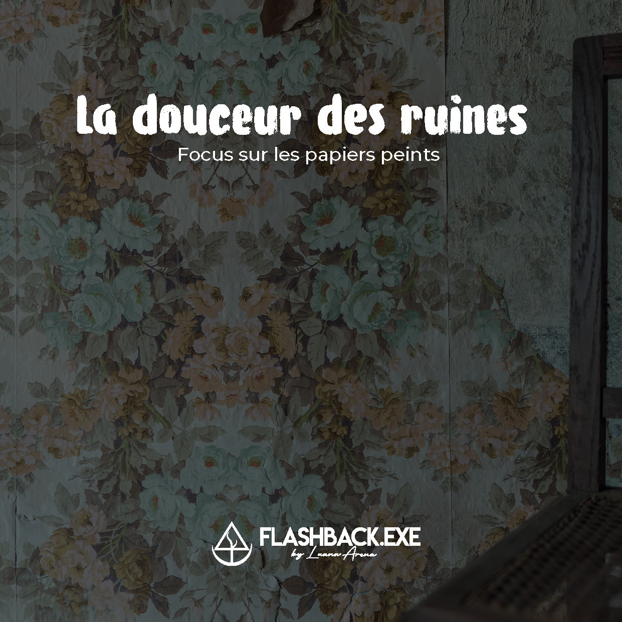 Illustration pour un livre publié : La douceur des ruines - Focus sur les papiers peints