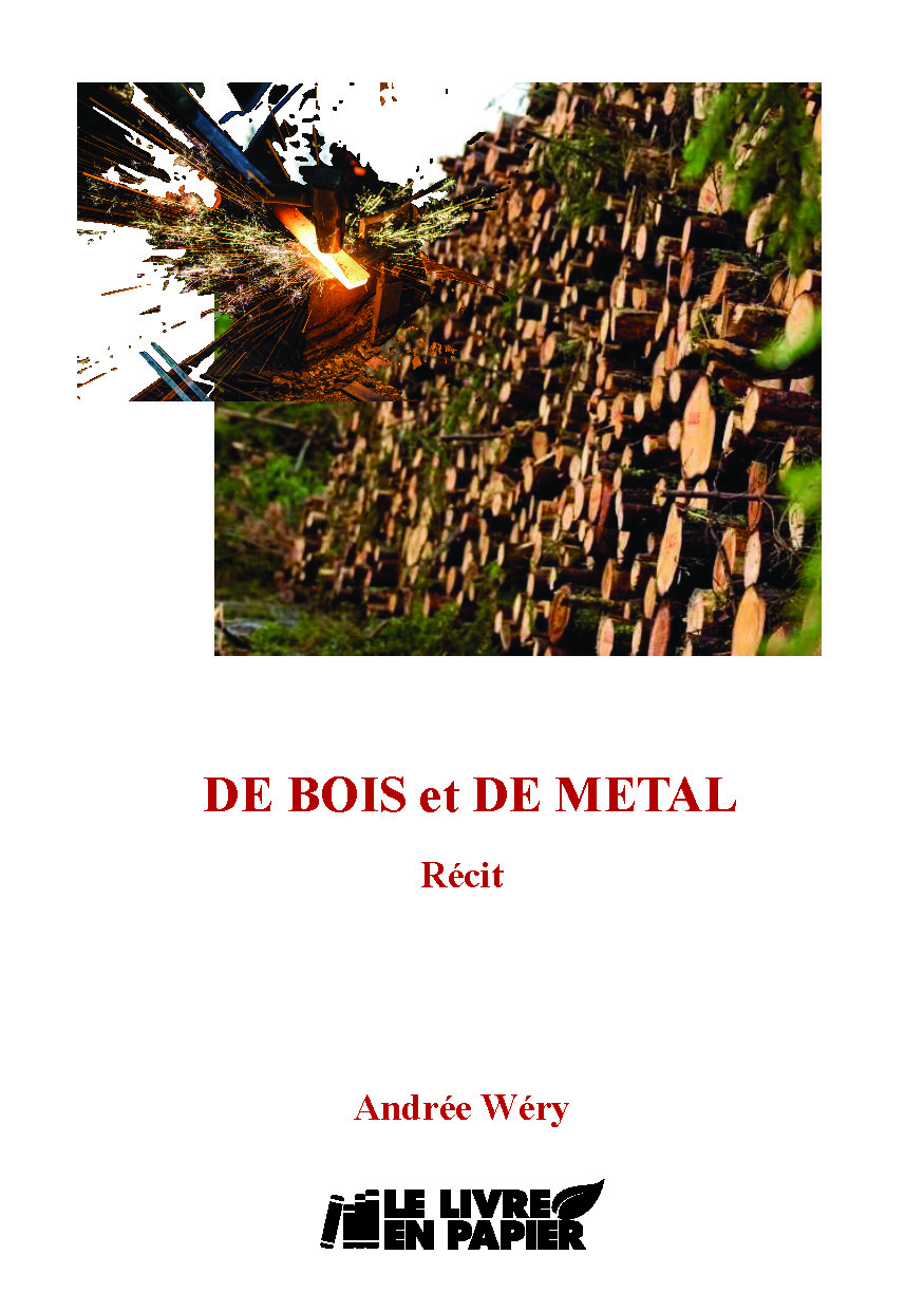 Illustration pour un livre publié : De Bois et de Métal