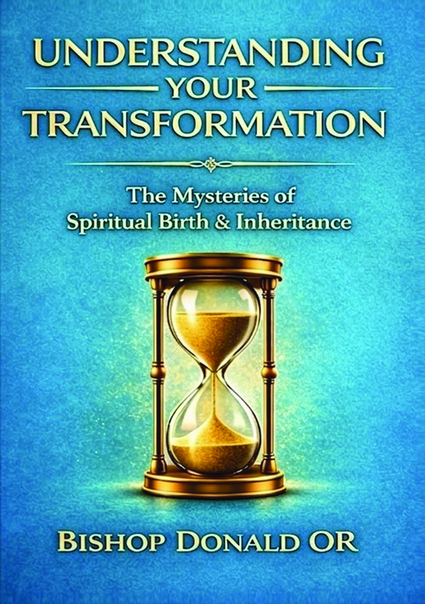 Illustration pour un livre publié : UNDERSTANDING YOUR TRANSFORMATION