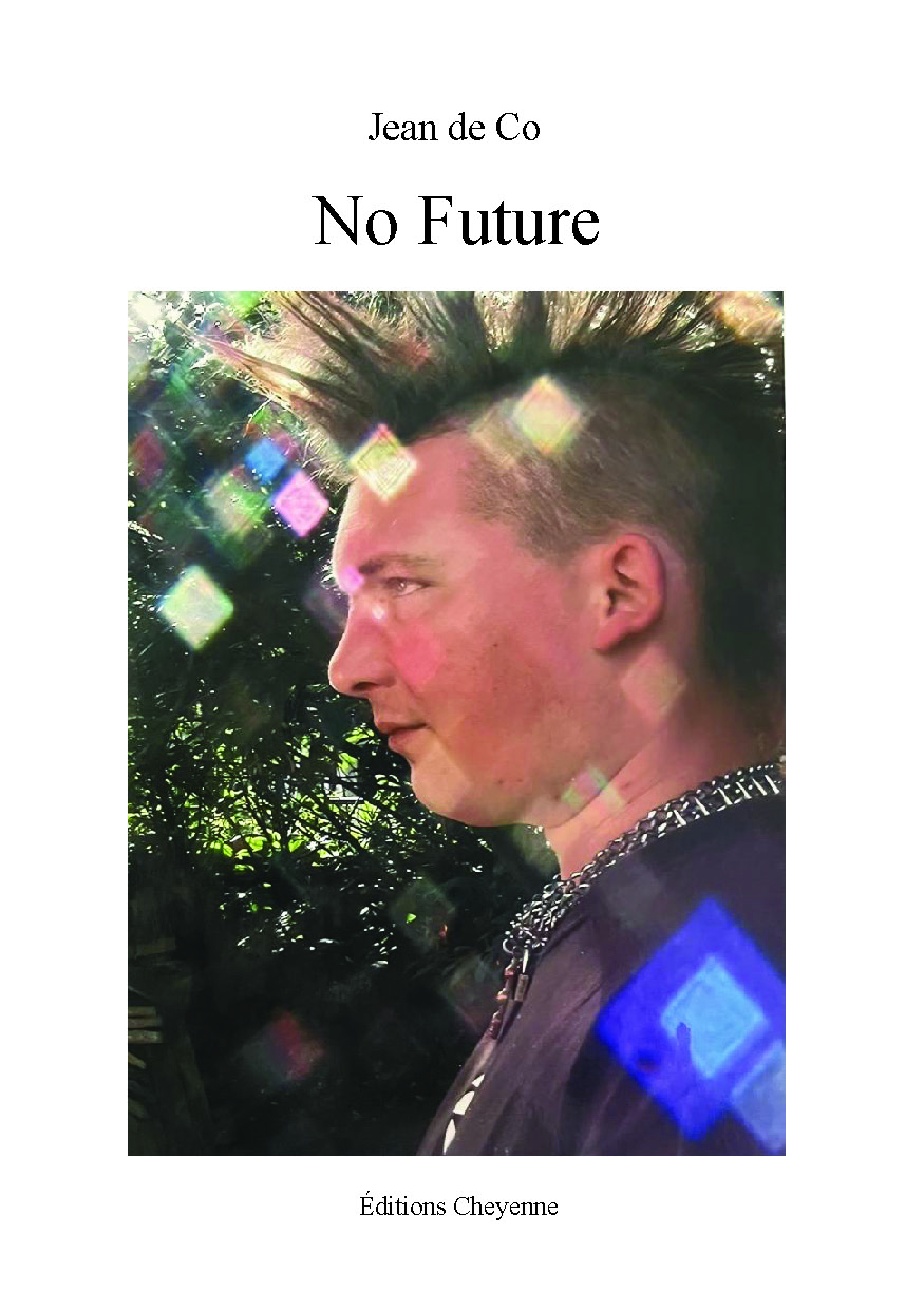 Illustration pour un livre publié : No Future