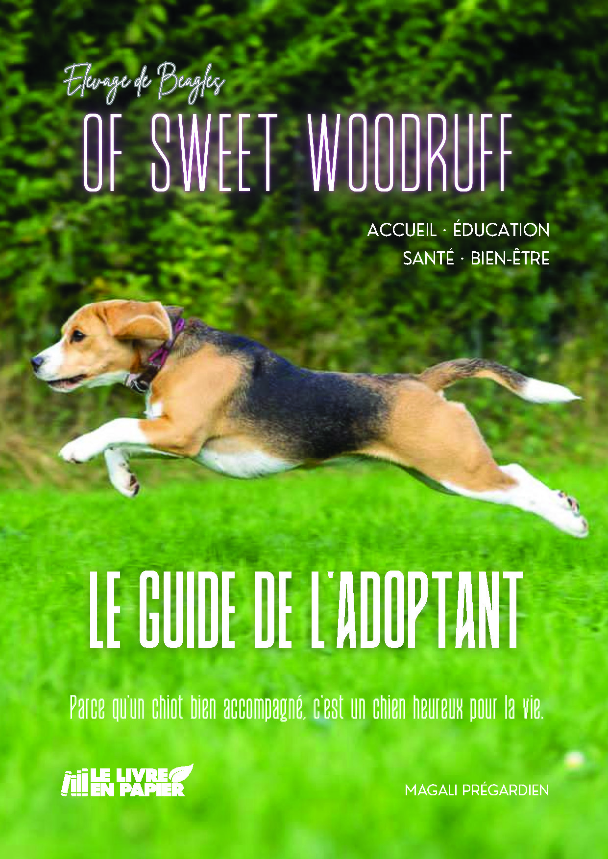 Illustration pour un livre publié : Le guide de l'adoptant