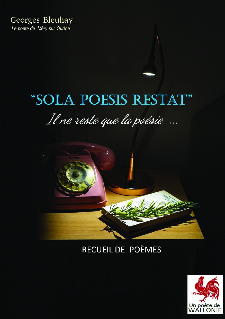 Illustration pour un livre publié : Sola Poesis Restat - Il ne reste que la poésie