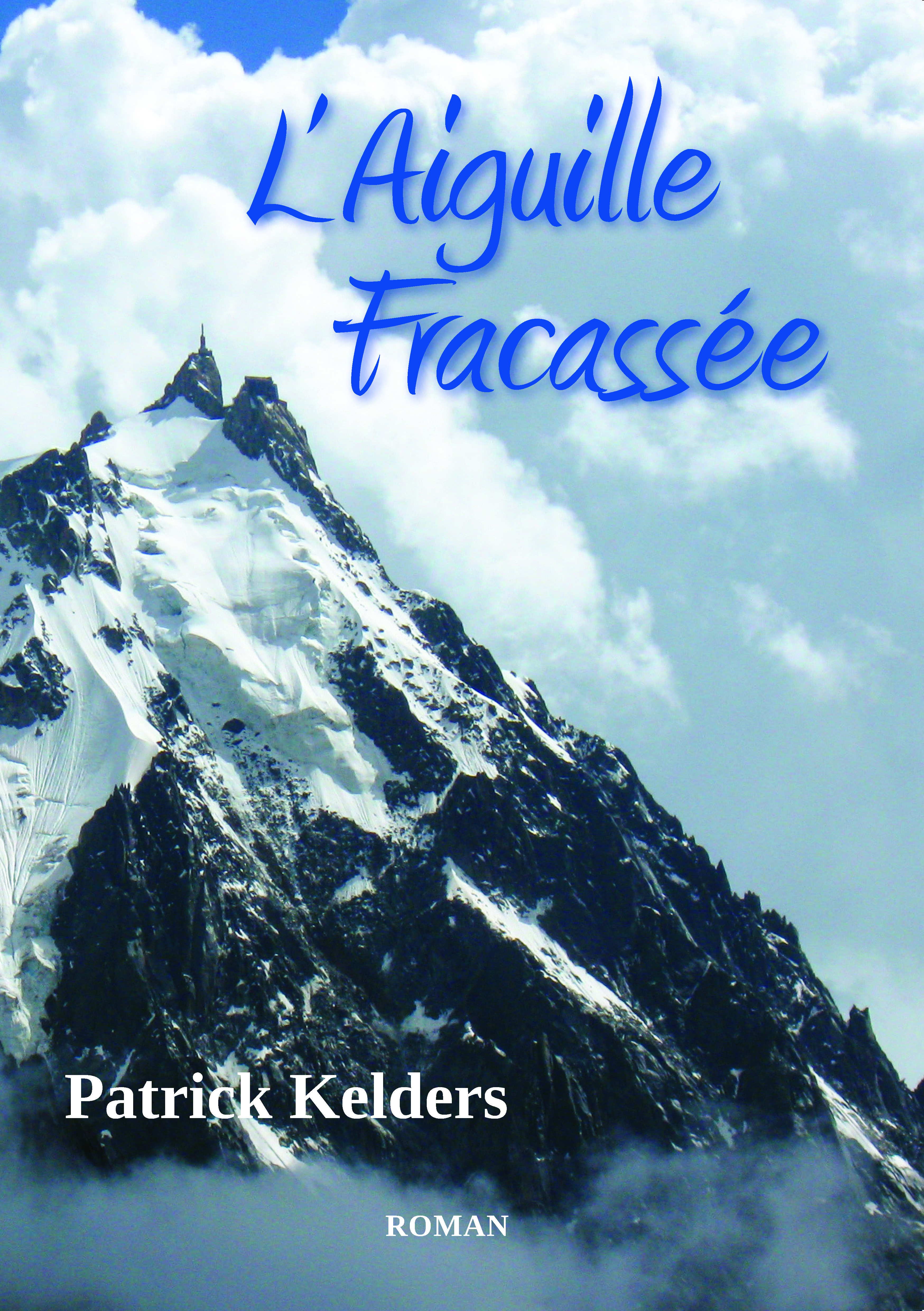 Illustration pour un livre publié : L'AIGUILLE FRACASSÉE