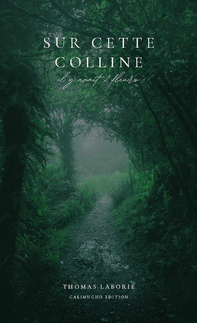 Illustration pour un livre publié : Sur cette colline il y avait 2 fleurs