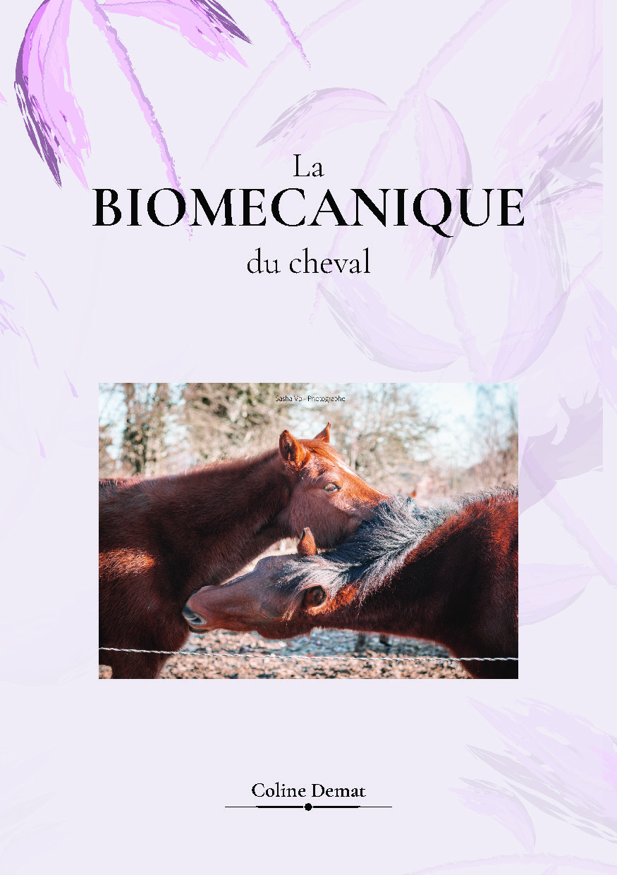 Illustration pour un livre publié : Biomecanique du cheval