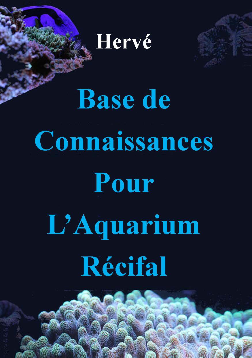 Illustration pour un livre publié : Base de connaissances pour l'aquarium récifal