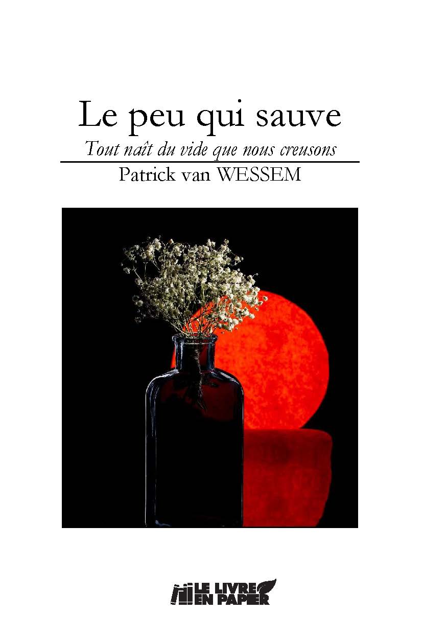 Illustration pour un livre publié : Le peu qui sauve