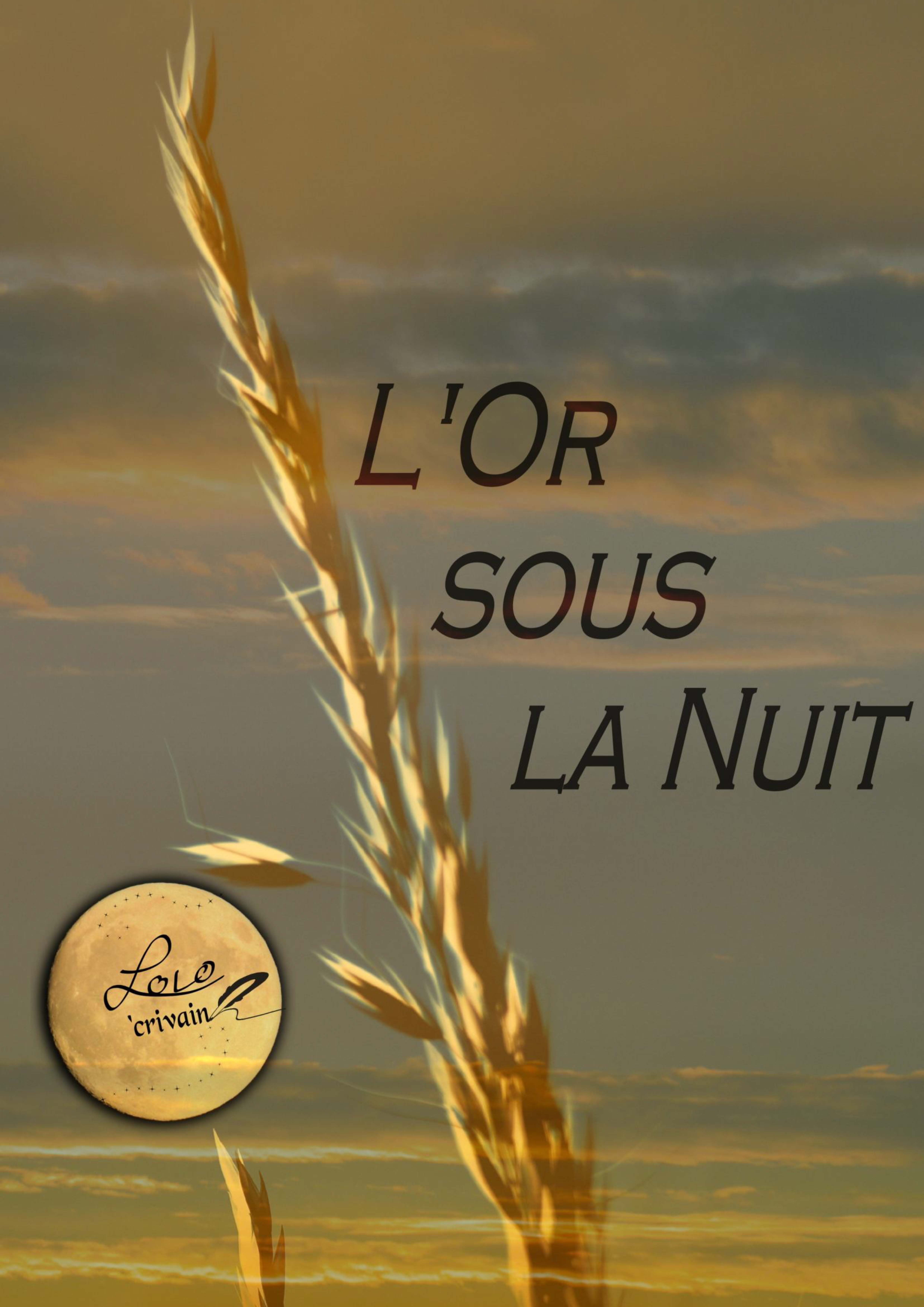 Illustration pour un livre publié : L'or sous la nuit