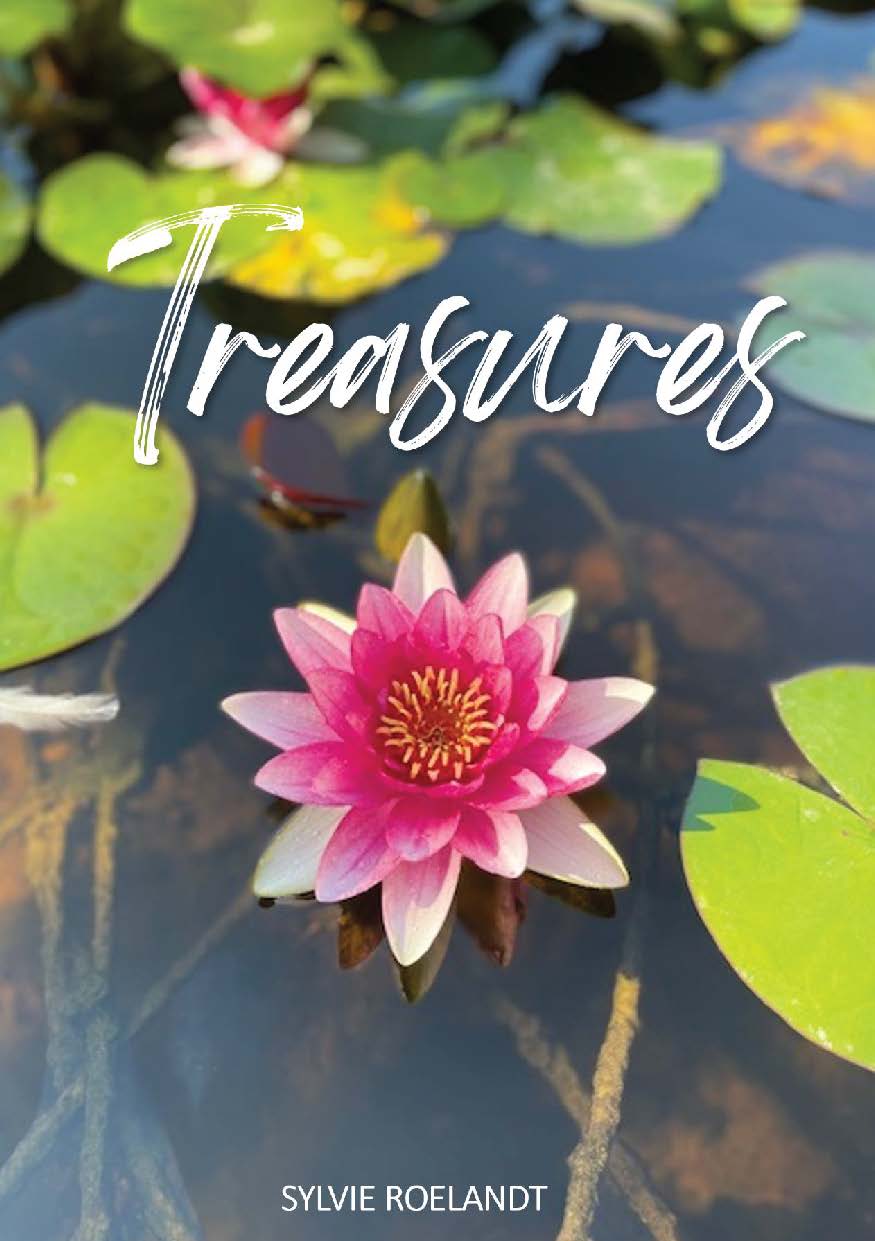 Illustration pour un livre publié : Treasures
