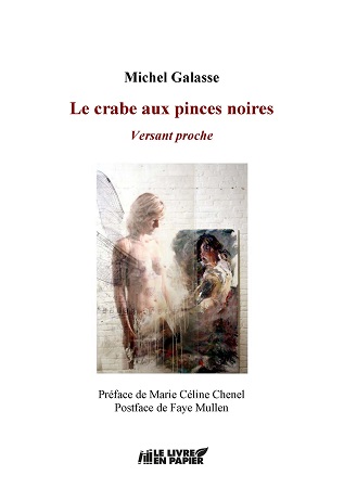 Illustration pour un livre publié : Le crabe aux pinces noires. Versant proche.
